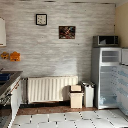 Ferienwohnung Haus Cerny バート・ゴイーザーン エクステリア 写真