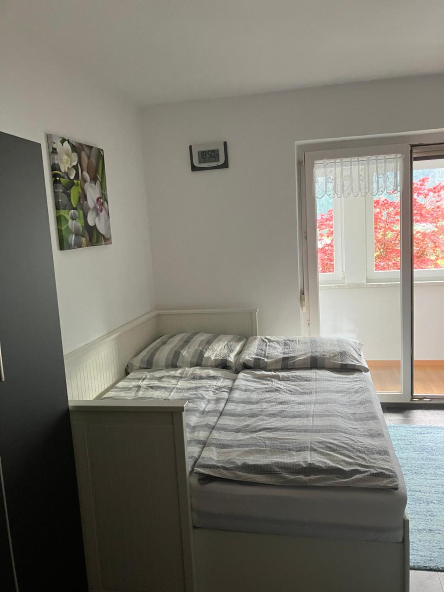 Ferienwohnung Haus Cerny バート・ゴイーザーン エクステリア 写真