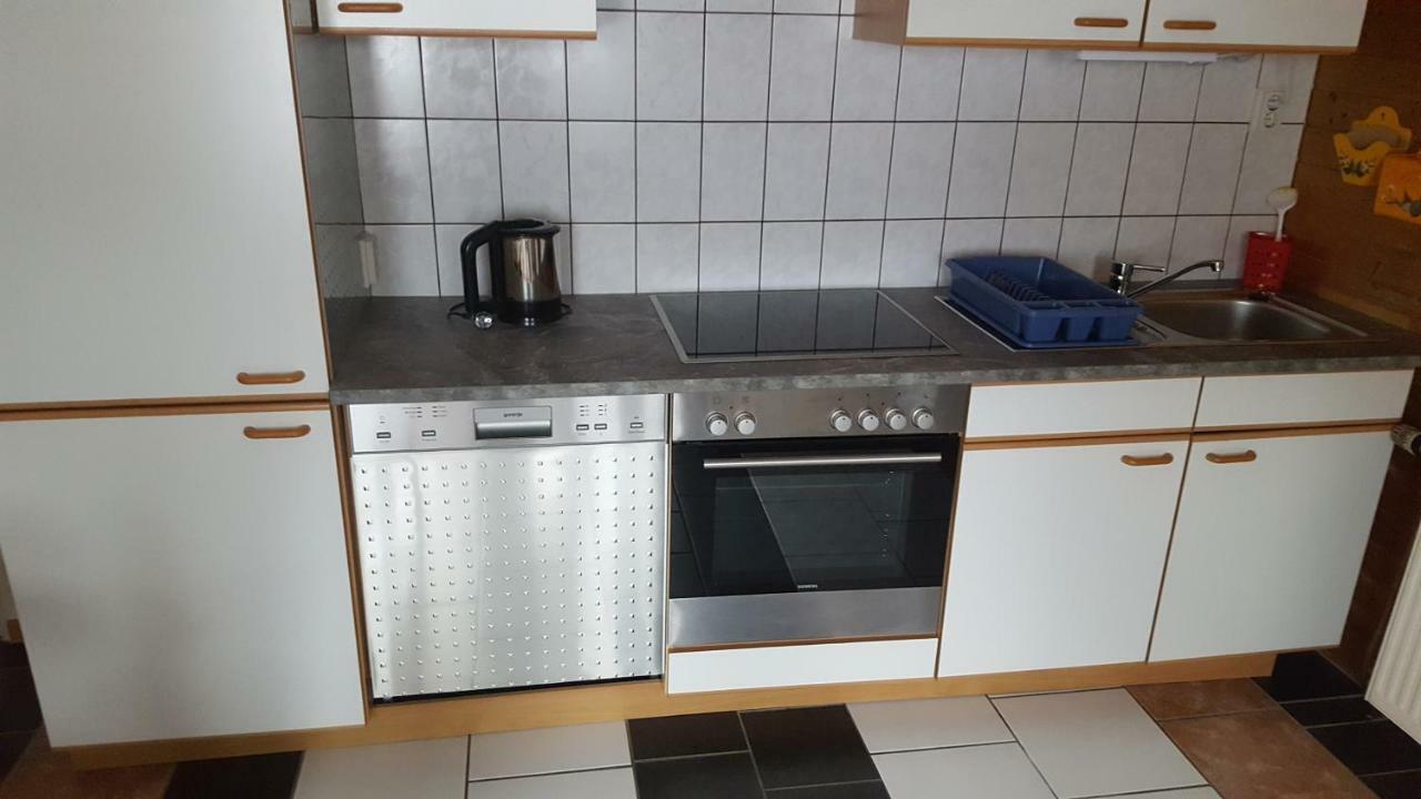 Ferienwohnung Haus Cerny バート・ゴイーザーン エクステリア 写真